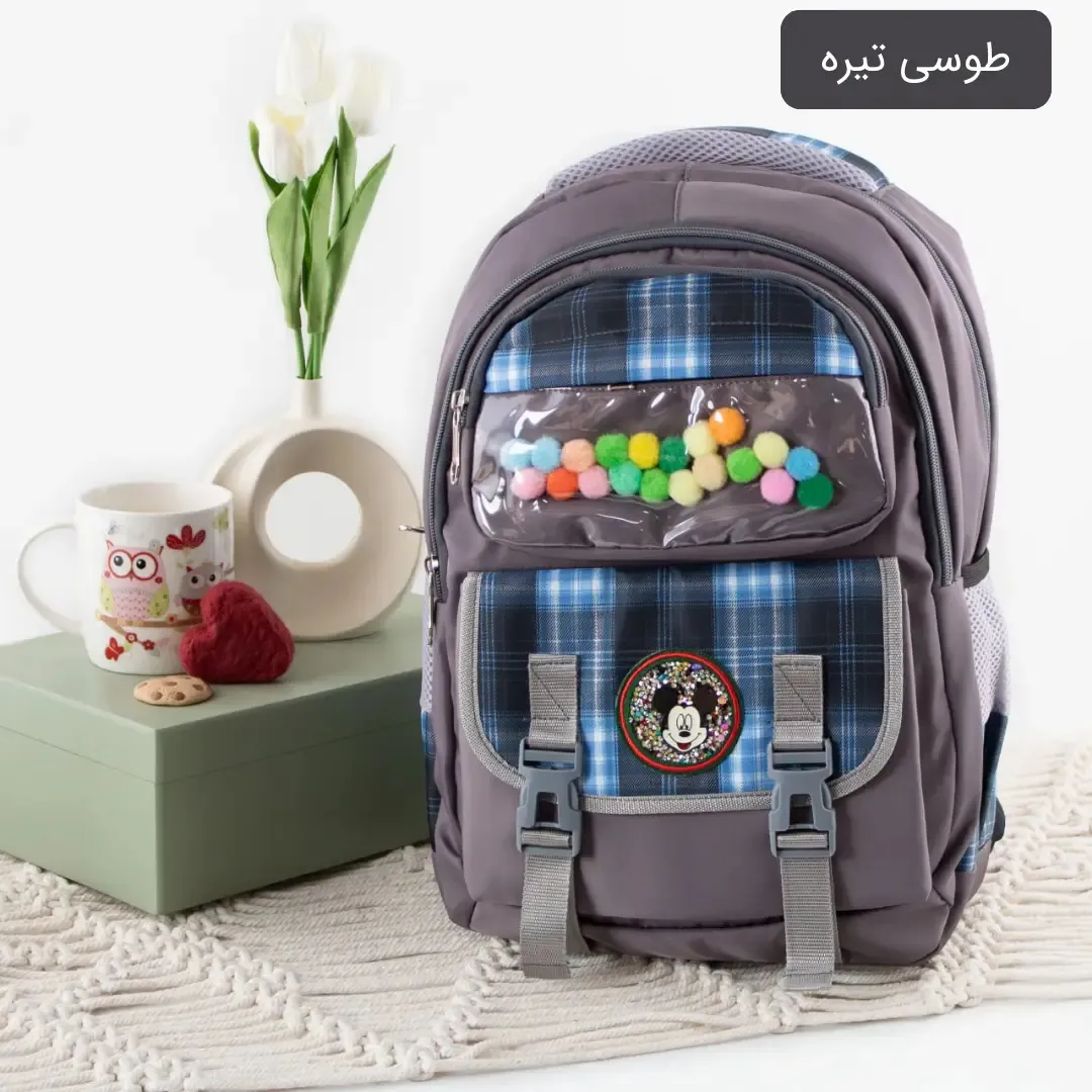 کوله پشتی مدرسه و دانشگاه پارچه ای با بند بلند و 6 جیب بیرونی ابعاد 40 در 30 در 15 سانتیمتر - Image 5