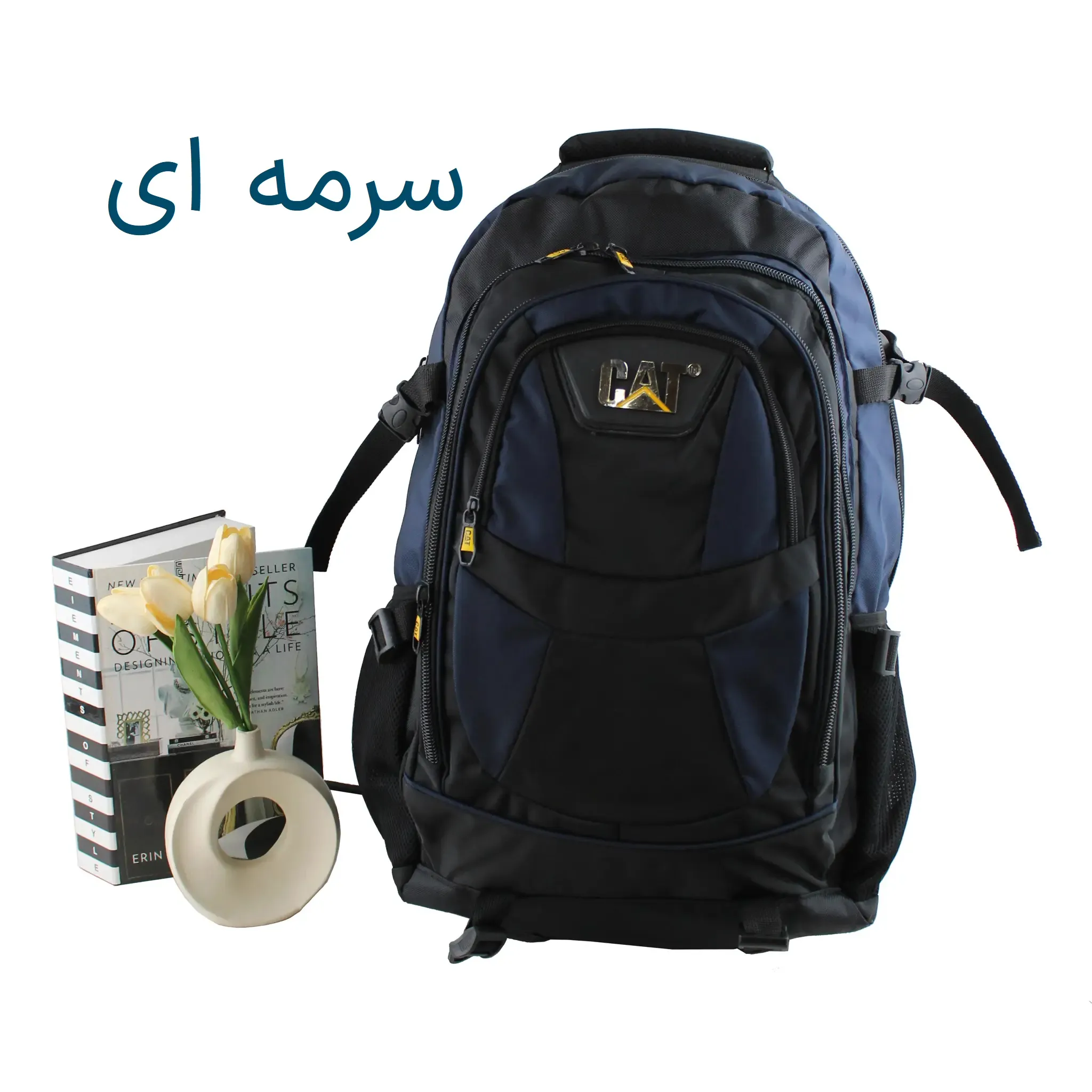 کوله پشتی پارچه ای مسافرتی و ورزشی دارای بند بلند و جیب متعدد ابعاد 55 در 30 در 25 سانتیمتر - Image 3